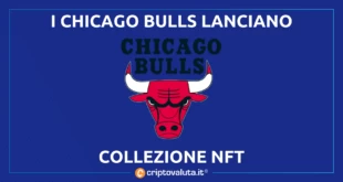 CHICAGO BULLS NFT