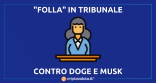 TRIBUNALE DOGE MUSK