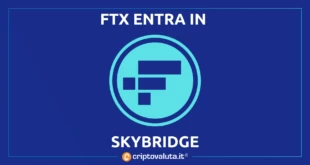 FTX SKYBRIDGE