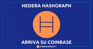 HEDERA HASHGRAPH VOLA BITCOIN