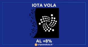 IOTA BOOM