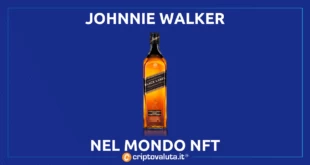 NFT COLLEZIONE WALKER