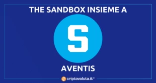 ANCORA THE SANDBOX