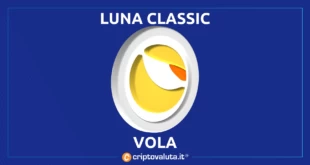 LUNA CLASSIC VOLA