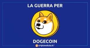 JACKSON PALMER MUSK DOGECOIN