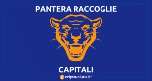 PANTERA RACCOGLIE