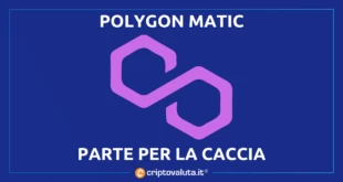 POLYGON MATIC INVESTE