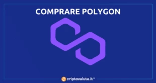 Guida completa di Criptovaluta.it all'acquisto di Polygon Matic