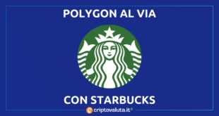 POLYGON MATIC STARBUCKS