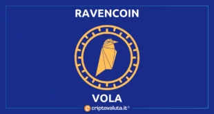 RAVENCOIN VOLA