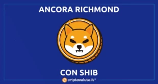 RICHMOND SHIBA