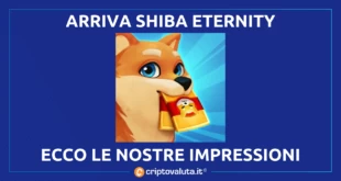 SHIBA ETERNITY