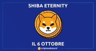 SHIBA ETERNITY OTTOBRE