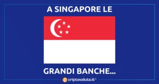 SINGAPORE BOOM CRIPTO