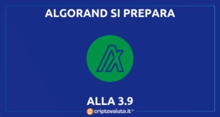 ALGORAND 3.9