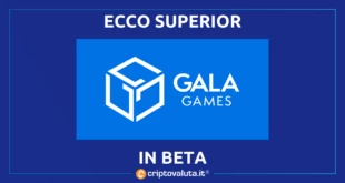 GALA SUPERIOR