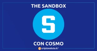 THE SANDBOX COSMO