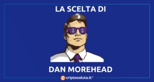 DAN MOREHEAD BITCOIN