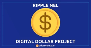 USD DIGITALE RIPPLE