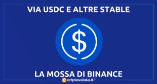 USDC BINANCE