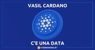 DATA PER VASIL