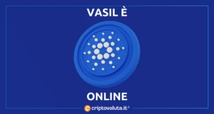 VASIL SU CARDANO