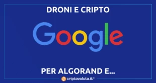 DRONI GOOGLE ALGORAND