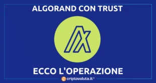 ALGORAND PUNTA SU TRUST