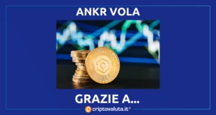 ANKR VOLA