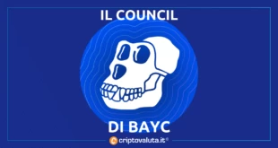 COUNCIL BAYC