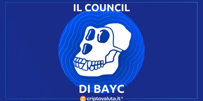 COUNCIL BAYC