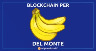 LA BLOCKCHAIN DELMONTE