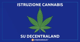 CANNABIS DECENTRALAND