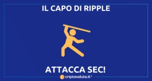 CAPO RIPPLE SEC