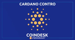 CARDANO CONTRO COINDESK