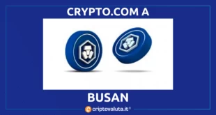 CRYPTO.COM BUSAN