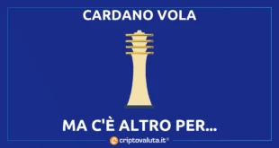 CARDANO DJED