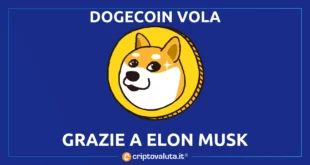 Dogecoin vola grazie a Twitter