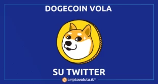 Dogecoin Twitter