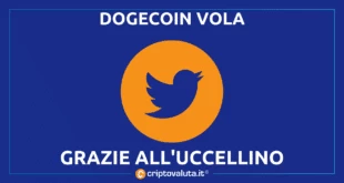 DOGECOIN VOLA