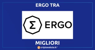 ERGO CARDANO BOOM