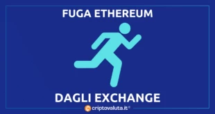 FUGA ETHEREUM EXCHANGE