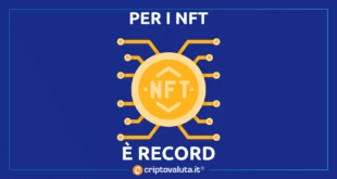 NFT RECORD 2022