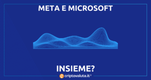 META MICROSOFT INSIEME