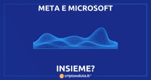 META MICROSOFT INSIEME