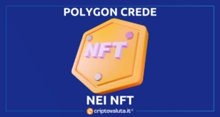 POLYGON NFT