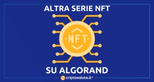 ALGORAND NFT BONACETO