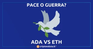 CARDANO PACE