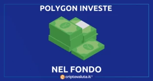 POLYGON INVESTE