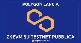 POLYGON MATIC TESTNET